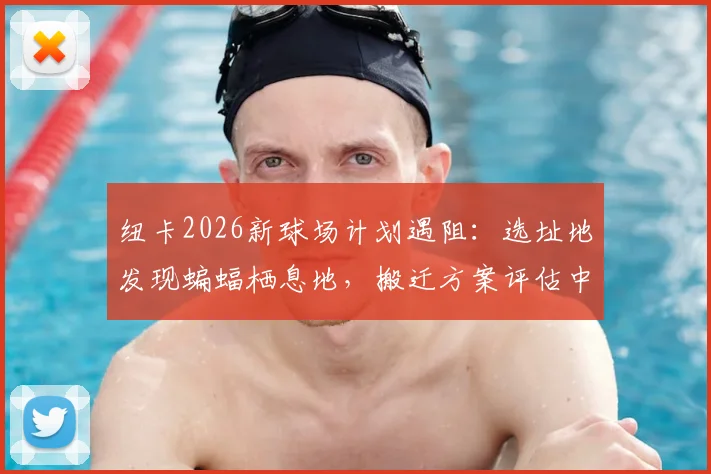 纽卡2026新球场计划遇阻:选址地发现蝙蝠栖息地,搬迁方案评估中