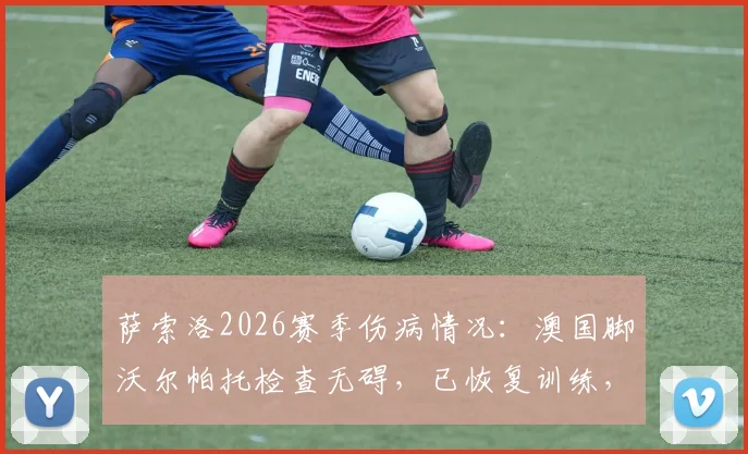 萨索洛2026赛季伤病情况:澳国脚沃尔帕托检查无碍,已恢复训练,复出时间引关注