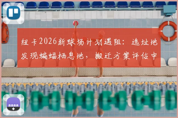 纽卡2026新球场计划遇阻：选址地发现蝙蝠栖息地，搬迁方案评估中